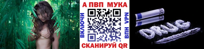 Alpha-PVP крисы CK  блэк спрут ТОР  Кудымкар 