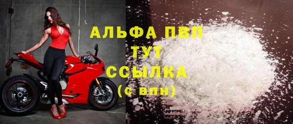 стаф Абинск