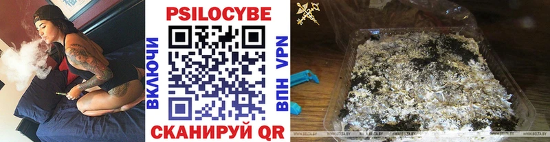 kraken как войти  где найти   Кудымкар  Галлюциногенные грибы мицелий 